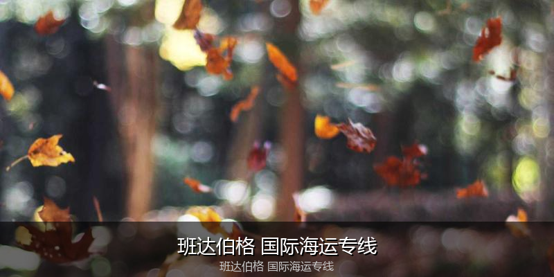2024年中国到澳大利亚海运价格走势分析