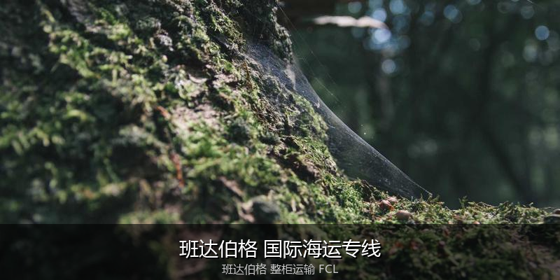 海运拼箱与整柜运输优劣对比
